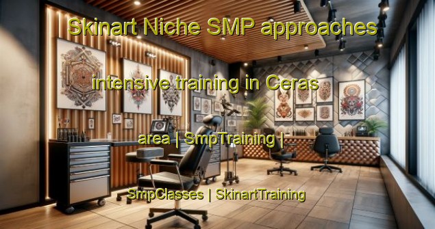 Skinart Niche SMP approaches intensive training in Ceras area | SmpTraining | SmpClasses | SkinartTraining-Portugal